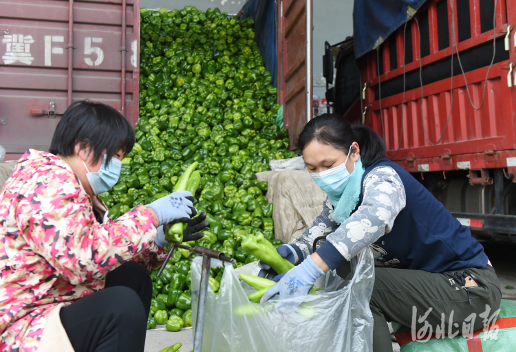 河北石家莊：保障生活物資平穩供應