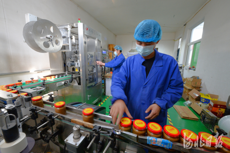 河北磁縣：培育特色産業 助力鄉村振興