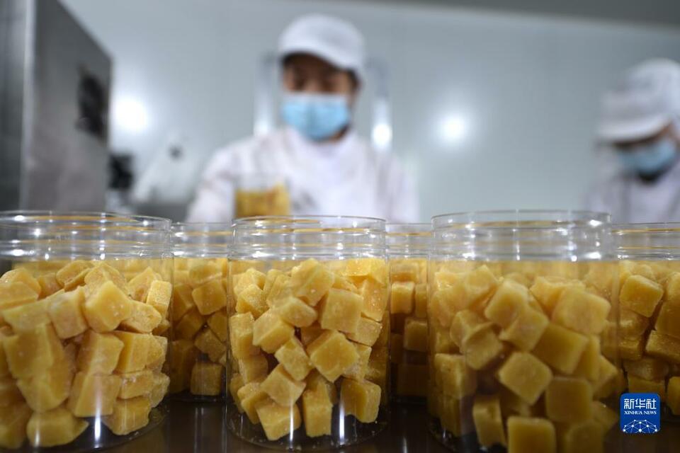 “雪花梨之鄉”做活梨果深加工文章_fororder_01