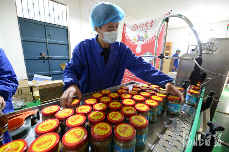 河北磁縣：培育特色産業 助力鄉村振興