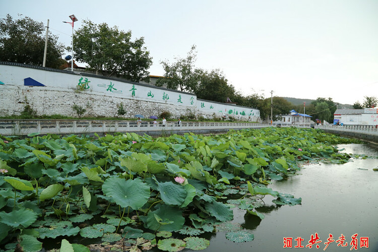 遷安市木廠口鎮：“紅色引擎”再發力 鄉村振興別樣紅