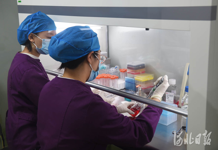 河北固安：打造生命健康産業集群