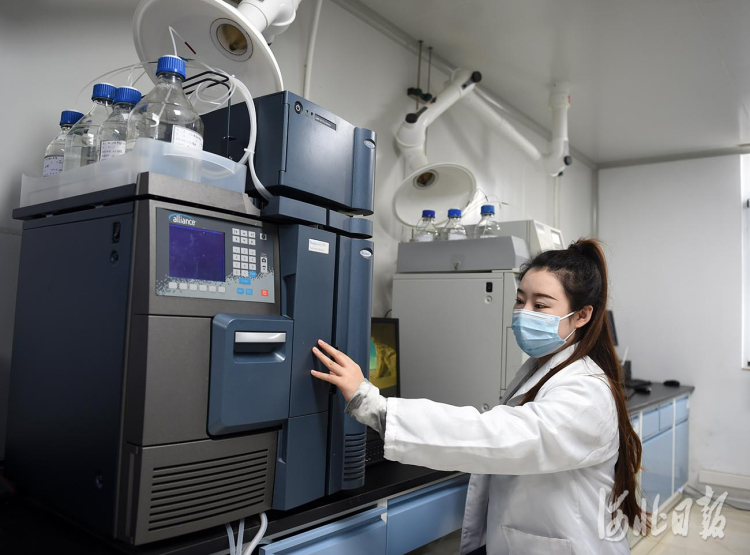 河北固安：打造生命健康産業集群