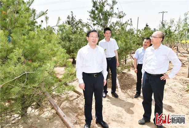 王東峰到雄安新區調研檢查