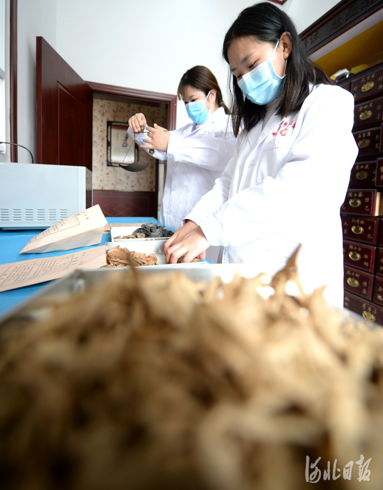 河北平鄉：鄉鎮國醫堂“把脈”群眾健康