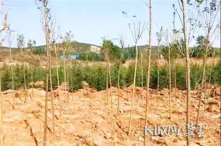 邯鄲市峰峰礦區彭城鎮：走過鄉村四季 七彩色裏看振興畫卷