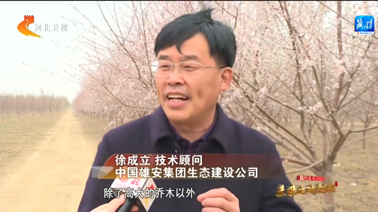 【奮進新征程 建功新時代】踐行總書記囑託 未來之城展新顏——打好“藍綠底色” 繪就“雄安畫卷”