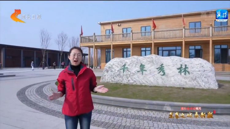 【奮進新征程 建功新時代】踐行總書記囑託 未來之城展新顏——打好“藍綠底色” 繪就“雄安畫卷”