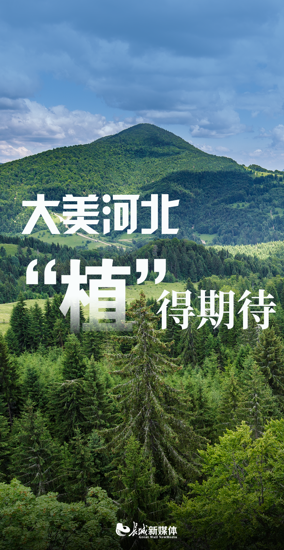 海報派丨大美河北 “植”得期待