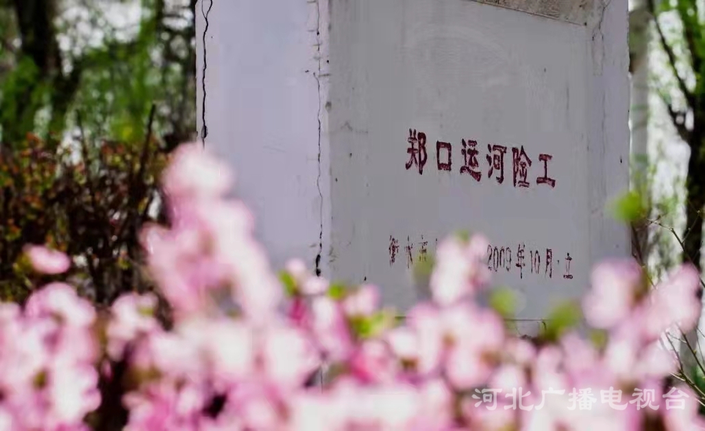衡水故城大運河：繁華似錦 春意盎然