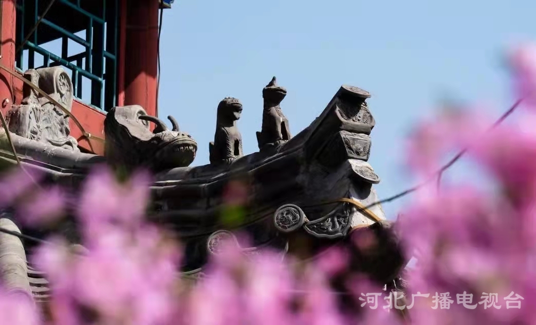 衡水故城大運河：繁華似錦 春意盎然