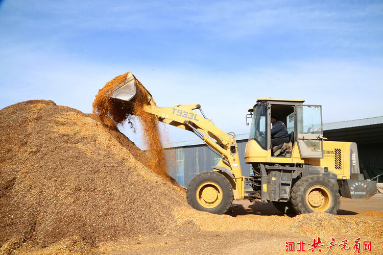 河北遷安：冬日菌棒製作忙