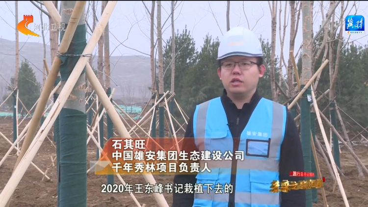 【奮進新征程 建功新時代】踐行總書記囑託 未來之城展新顏——打好“藍綠底色” 繪就“雄安畫卷”