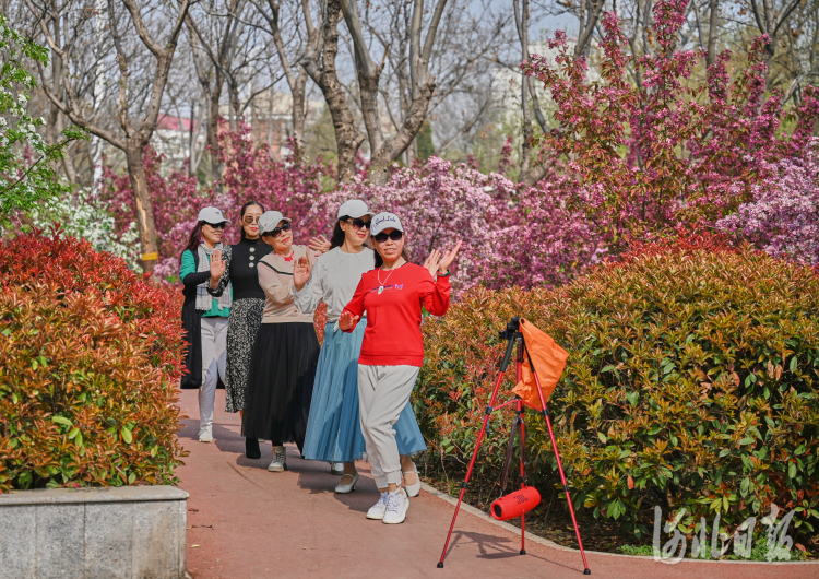 河北石家莊民心步道：賞春遊玩好去處