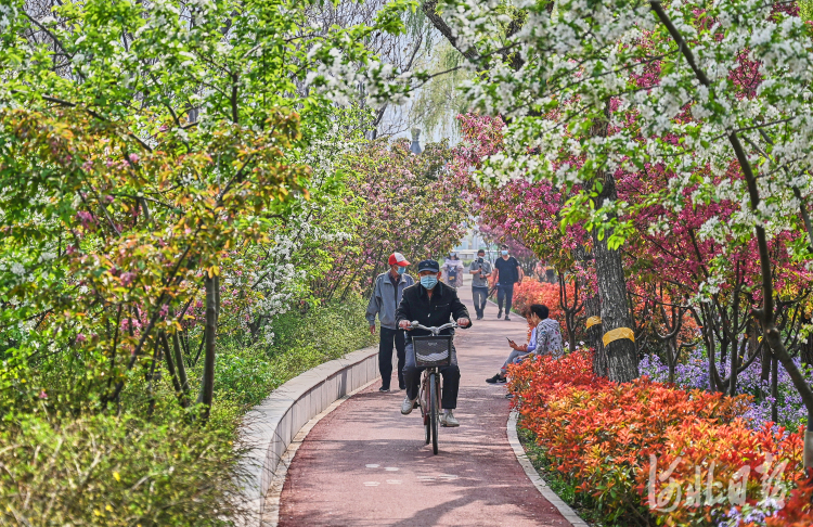 河北石家莊民心步道：賞春遊玩好去處