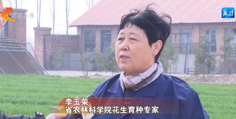 河北：培育“好種子” 做強“農業芯”
