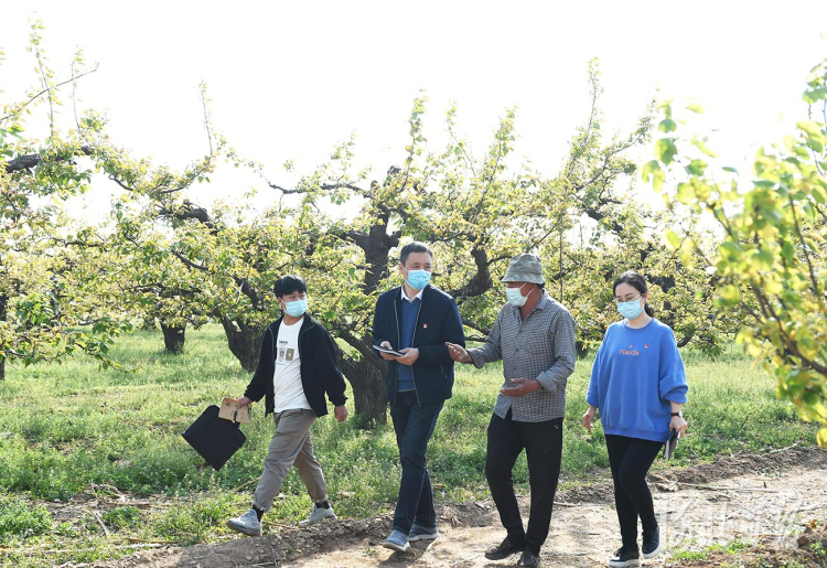 河北寧晉：巡察“三資”管理 助力鄉村振興