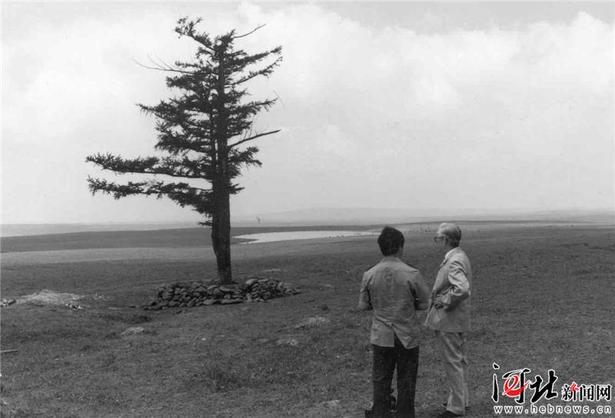 【大河之北·森林草原篇①】綠地重生