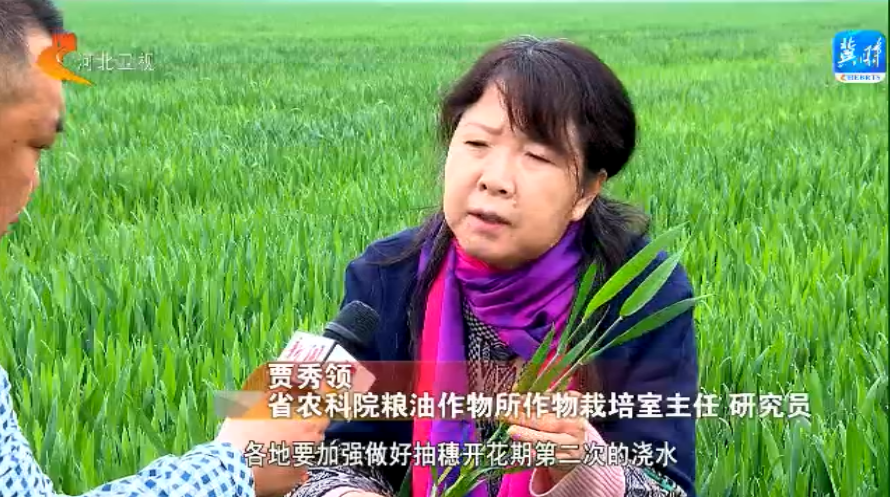 河北：不誤農時抓春管 奮力奪取夏糧豐收