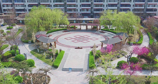 厚植最美生態 綠染城市鄉村