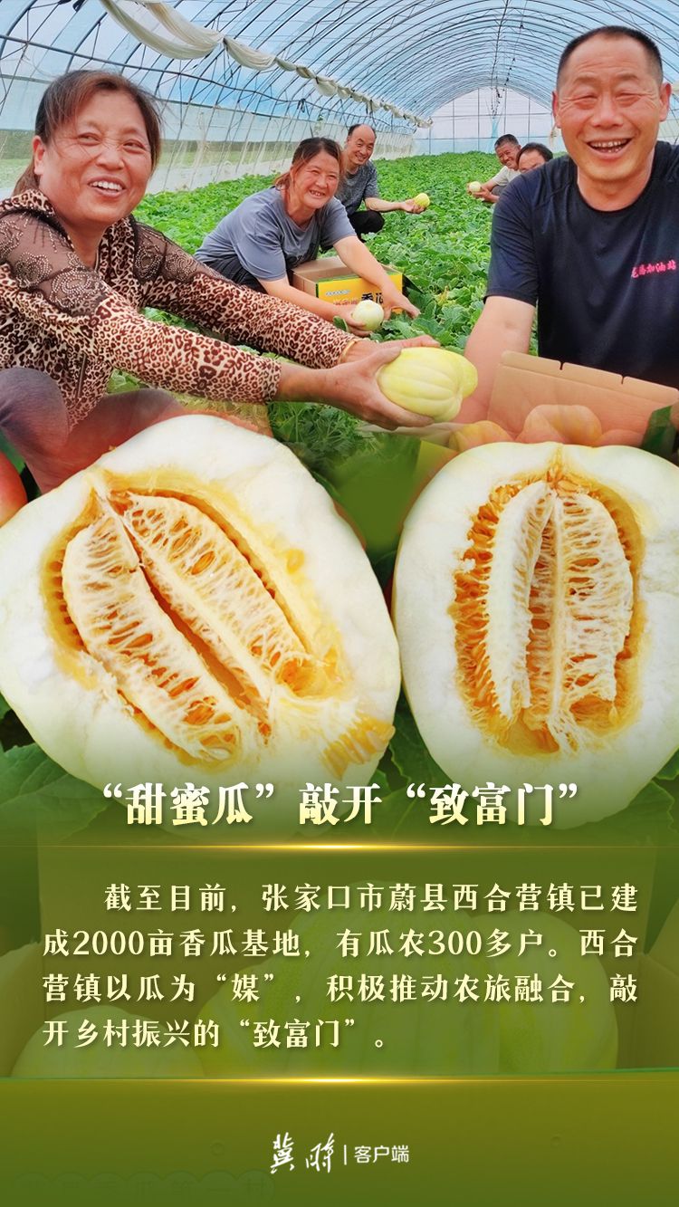 鄉村振興連環畫 | 瓜果飄香 河北各地“甜蜜經濟”助增收