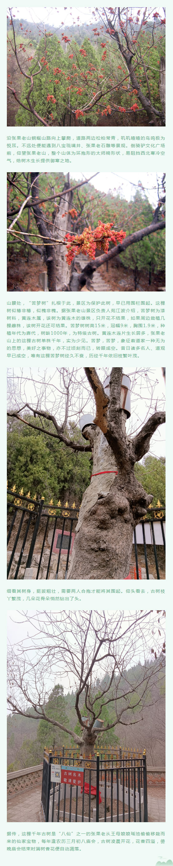 圖片默認標題_fororder_22