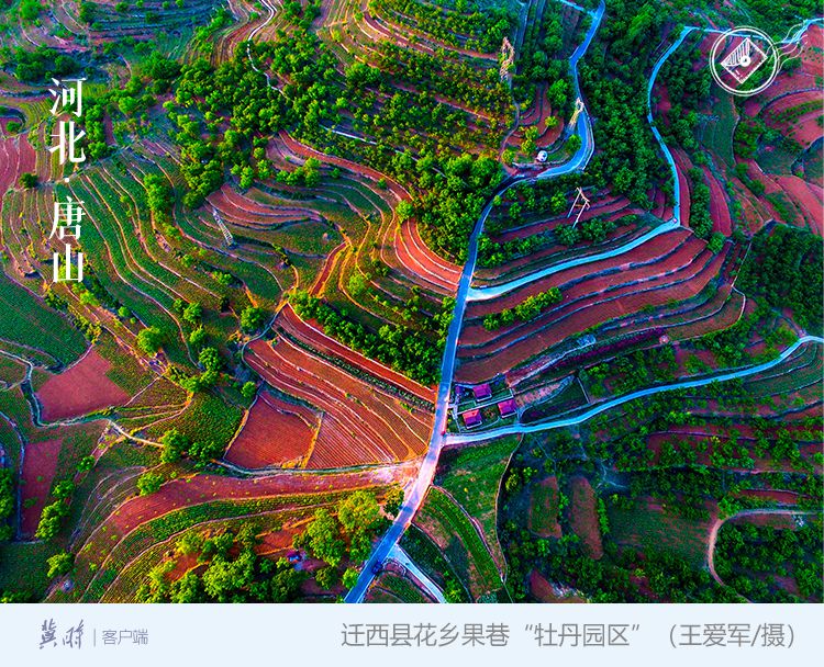 唐山：鳳凰涅槃 華美蝶變
