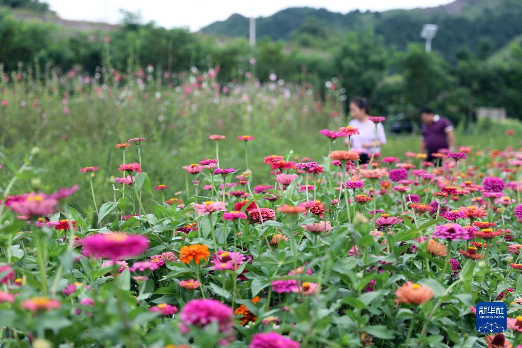 河北灤平：打造多業態全域旅遊格局