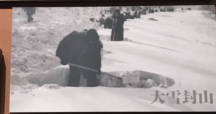 一閱60年！來這裡，看塞罕壩人的創業故事
