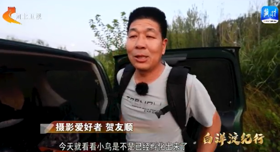 白洋淀紀行：這裡就是我的家