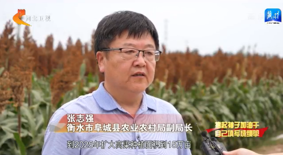 燕趙大地碩果纍纍 特色農業助農增收