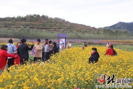 【壯麗70年 奮鬥新時代】河北農林牧漁業總産值70年增長280倍