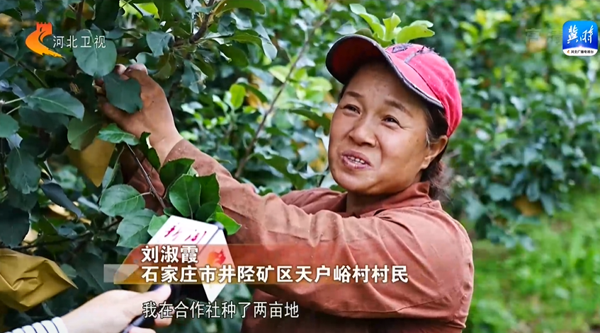 石家莊天戶峪村：産業興起來 鄉村美起來 農民富起來
