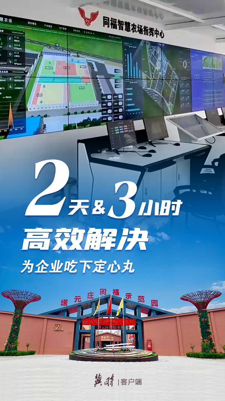 數字見證！高效服務跑出河北“加速度”