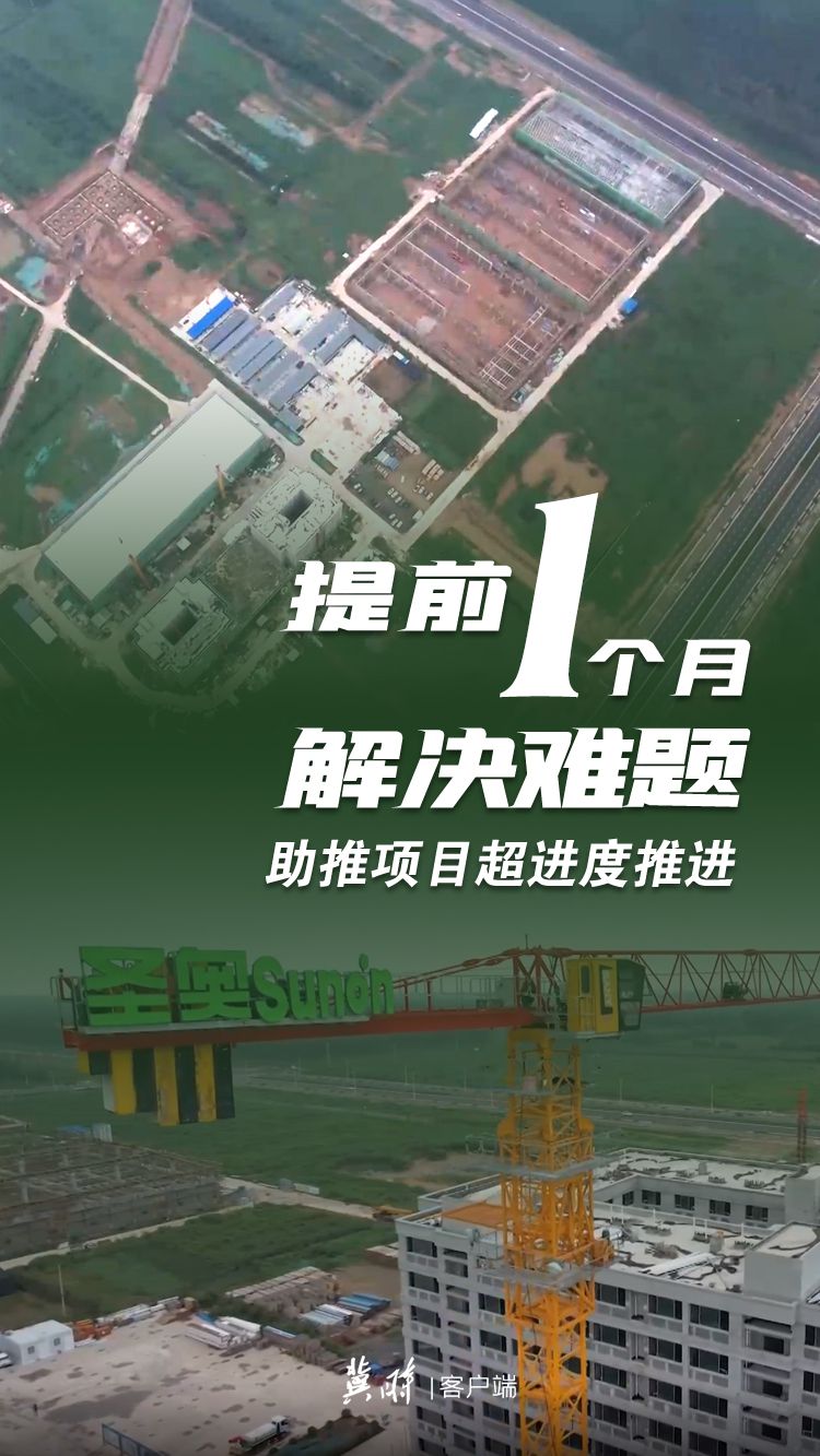 數字見證！高效服務跑出河北“加速度”