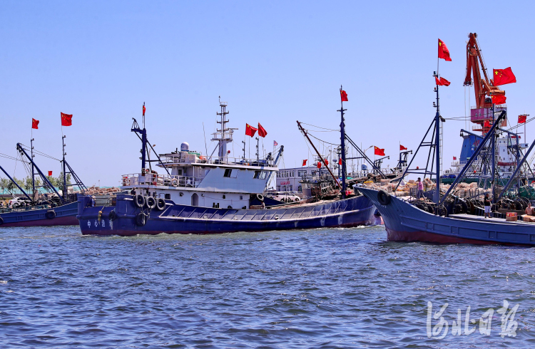 河北秦皇島：開海啦！秋汛捕撈去