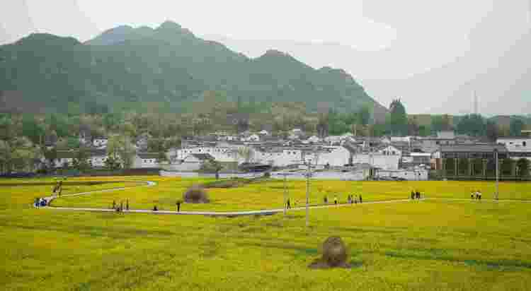 河北易縣：黨建引領促發展 鄉村振興展新顏