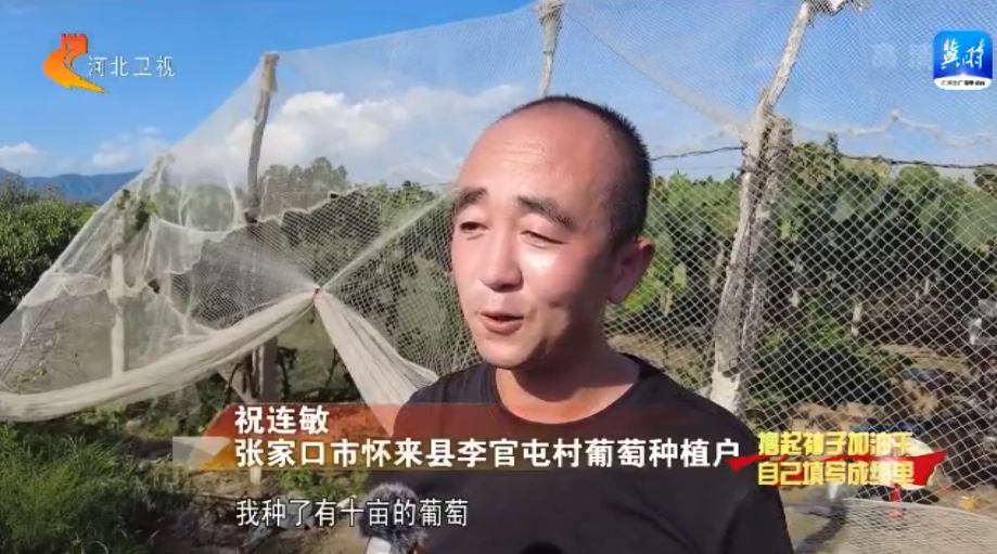 燕趙大地碩果纍纍 特色農業助農增收