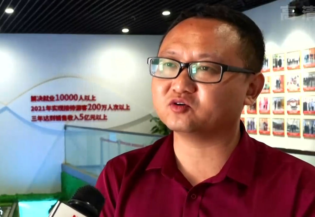 數字見證！高效服務跑出河北“加速度”