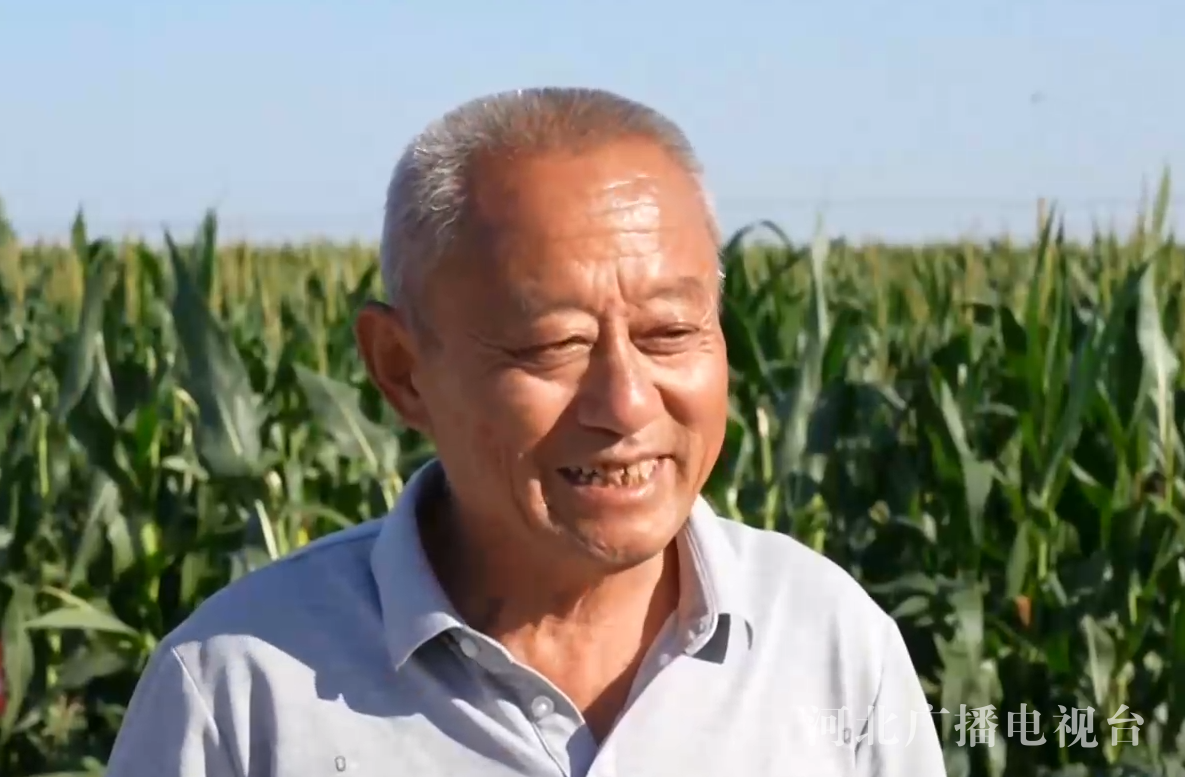 五彩斑斕！亮出河北奮鬥顏色