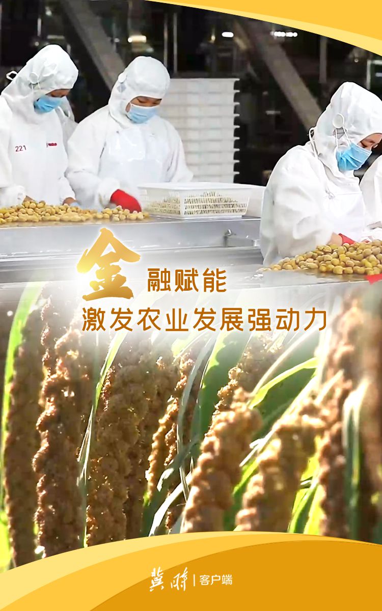 五彩斑斕！亮出河北奮鬥顏色