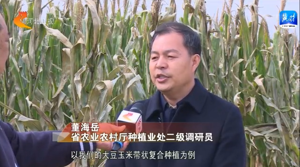河北省秋糧收穫基本完成