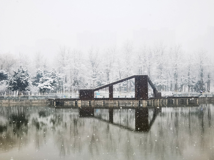 （原創）【組圖】石家莊東環公園：雪景美如畫_fororder_微信圖片_20230220154844