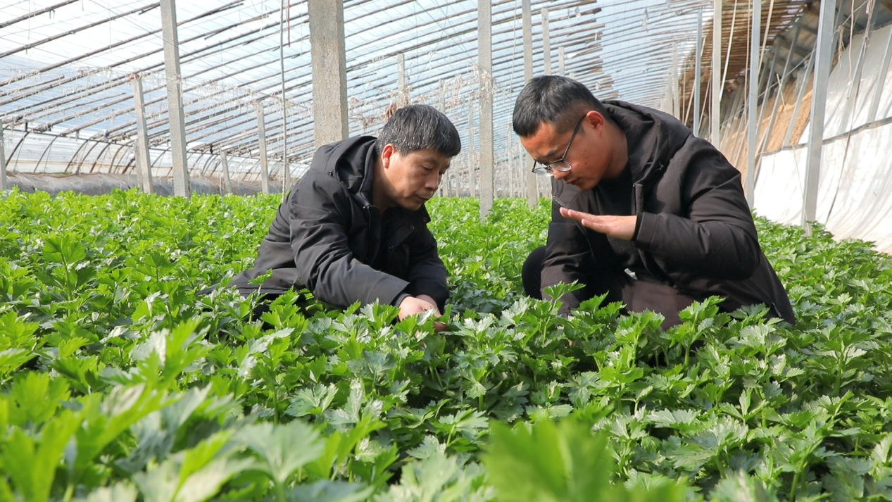 圖片默認標題_fororder_泊頭4