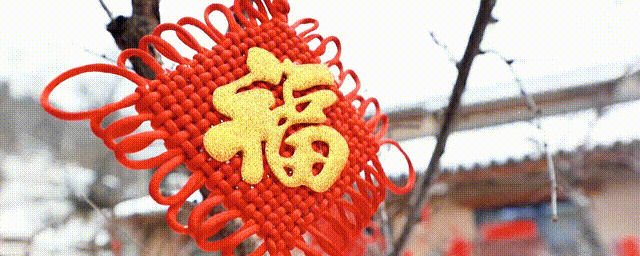 微視頻｜駱駝灣的新山歌
