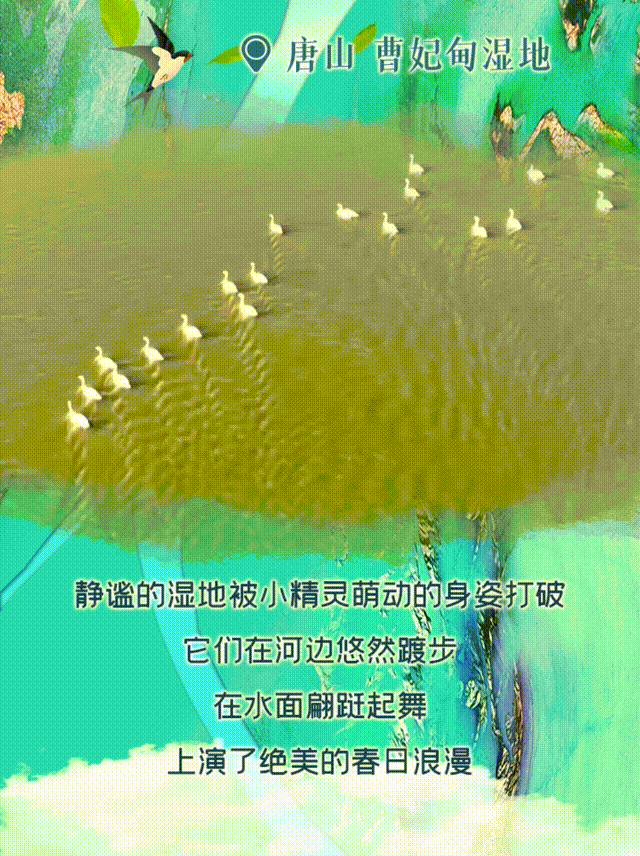 這麼近 那麼美 週末到河北 | 春日河北 它們撐起了“顏值”擔當_fororder_5