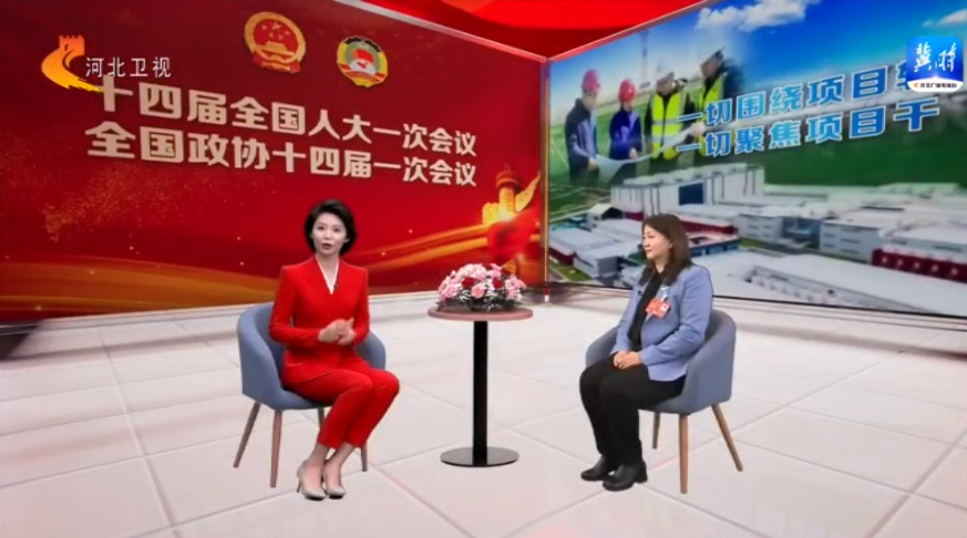 兩會雲訪談｜一切圍繞項目轉 一切聚焦項目幹 千方百計擴內需_fororder_4