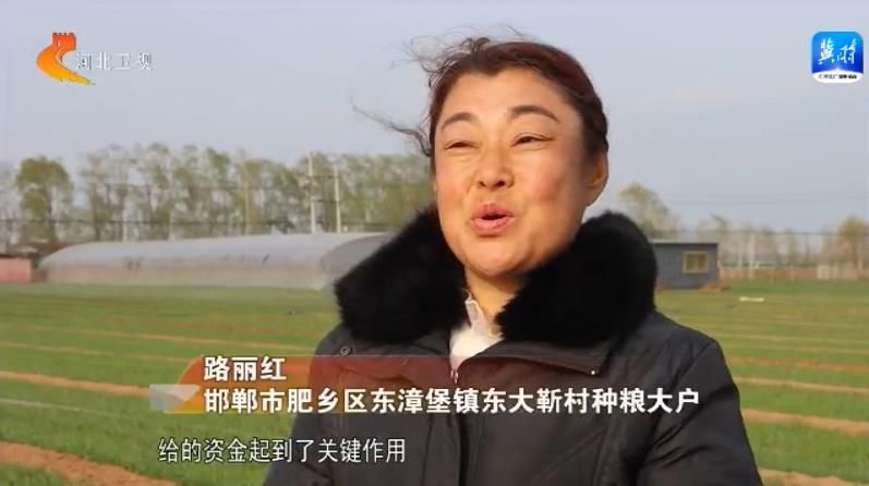 河北：合力服務春管春灌 夯實糧食豐産基礎