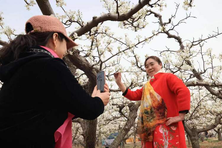 （原創）河北魏縣：志願服務為遊客遊玩體驗梨鄉美景保駕護航_fororder_微信圖片_20230328101927