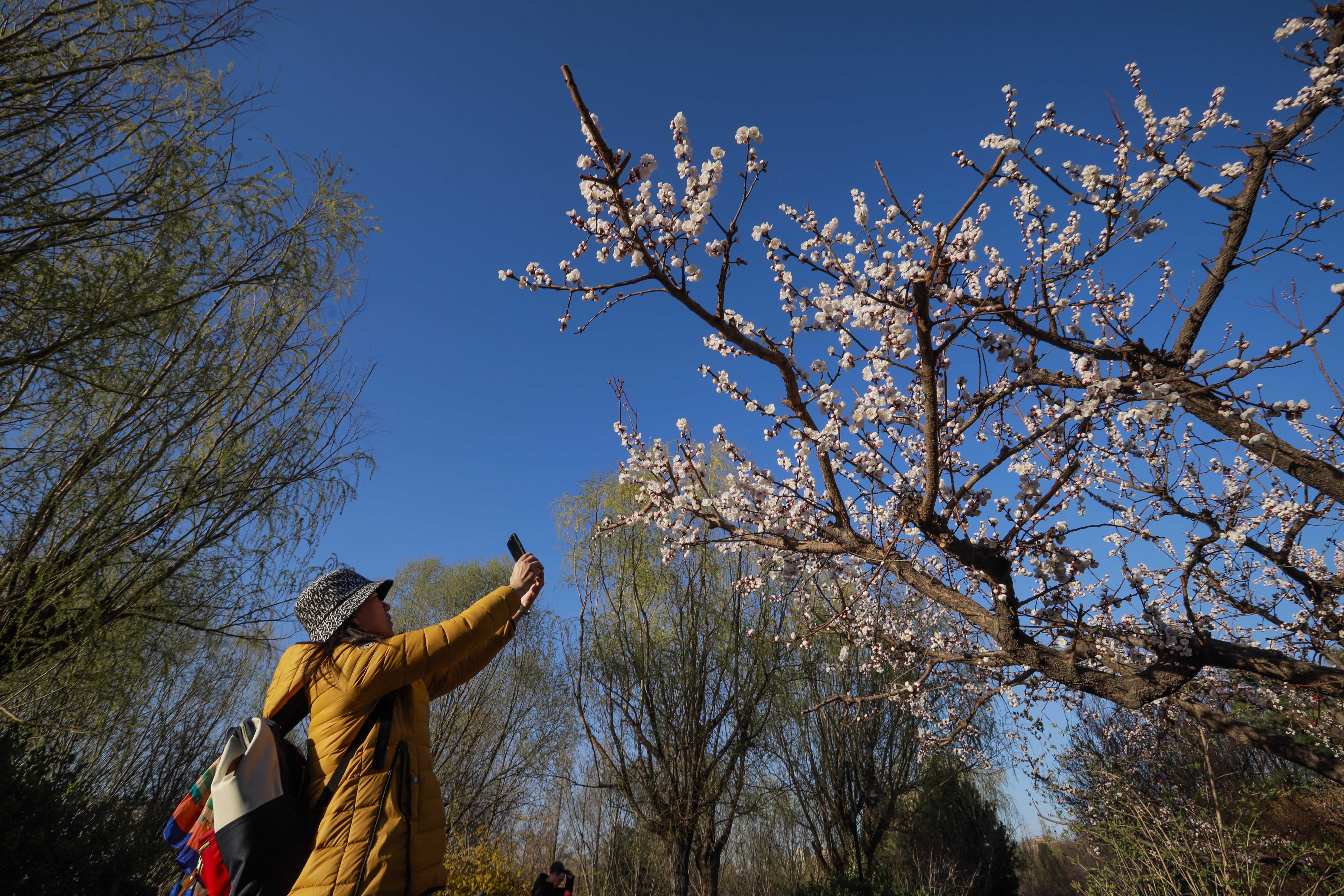 （原創）唐山市路北區：公園春景美如畫_fororder_微信圖片_20230329101626